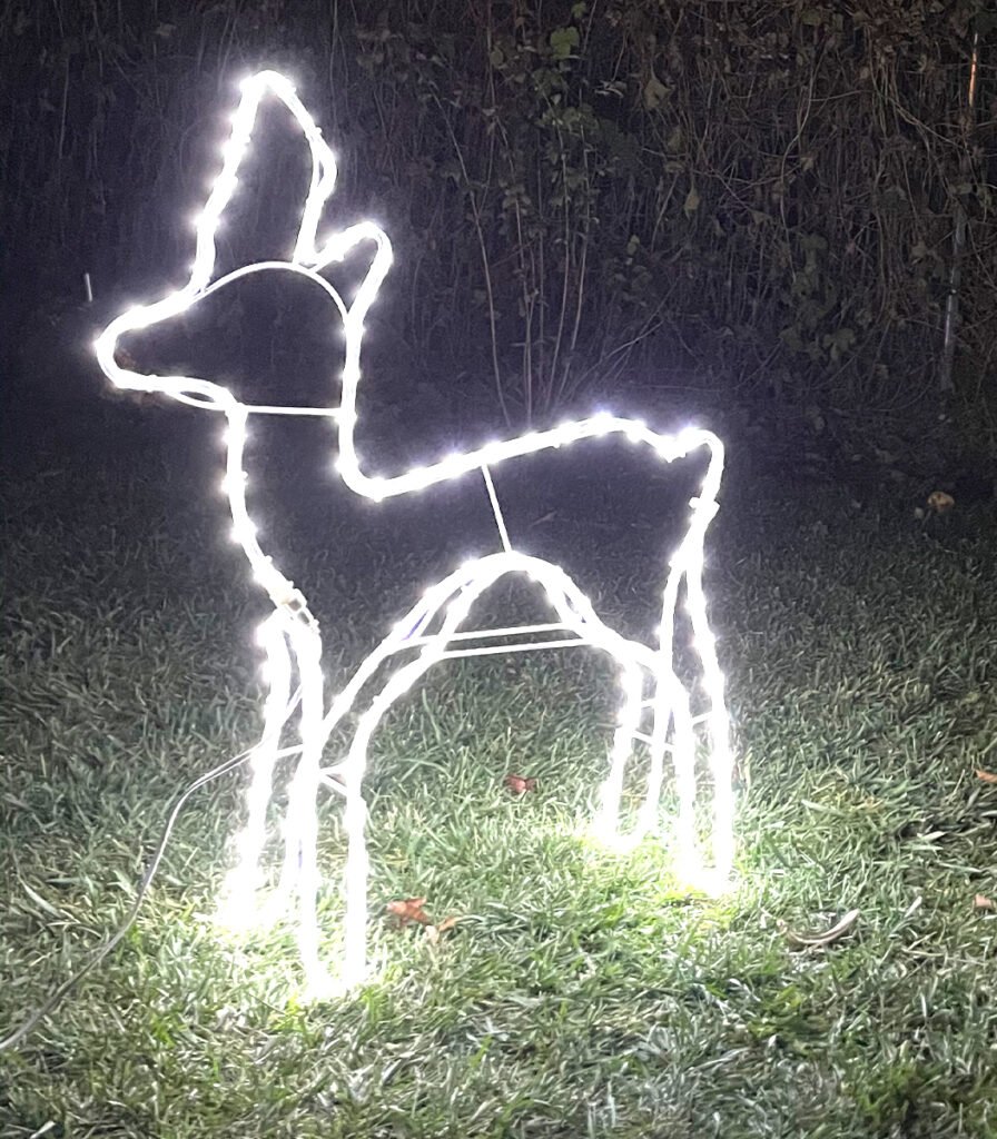 outdoor Reh Weihnachtslicht 